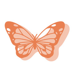 Boho Butterfly Illustration