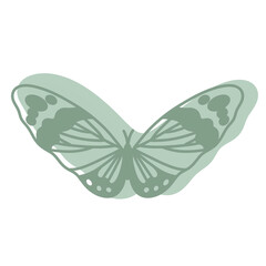 Boho Butterfly Illustration