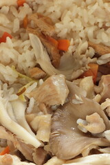 Japanese food, Maitake mushroom and chicken mixed rice