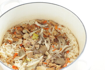 Japanese food, Maitake mushroom and chicken mixed rice