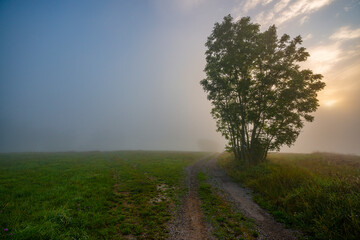 landscape in fog - mystical foggy autumnal day with sunrise