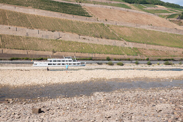 Rhine near Bingen in Rhineland-Palatinate with extremely low water in drought summer 2022