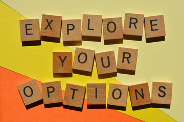 Explore Your Options, phrase as banner headline