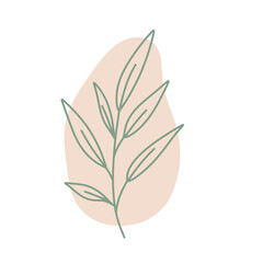 Boho Flower Illustration