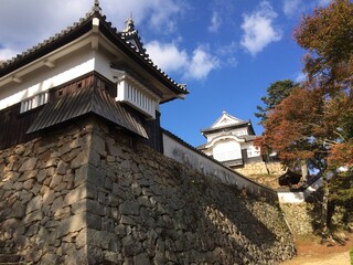 Fototapeta na wymiar 備中松山城の石垣を下から眺めた光景