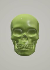 human skull on black