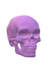 Obraz premium human skull isolated on white