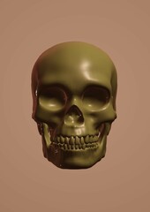 human skull on black