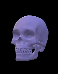 human skull isolated on black