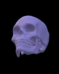 human skull isolated on black
