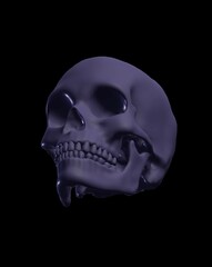 human skull isolated on black