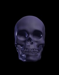 Fototapeta premium human skull isolated on black