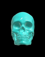 Obraz premium human skull isolated on black