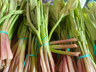 Fresh vegetables with lots of benefits