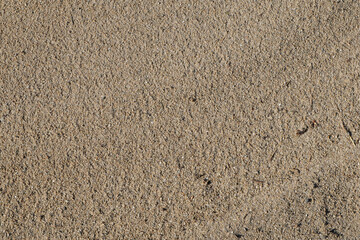 Fototapeta na wymiar The texture of the sandy surface of the seashore.