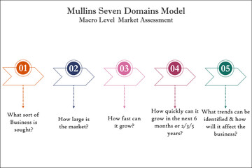 Seven Domains Model - Macro Level Market assessment in an Infographic template