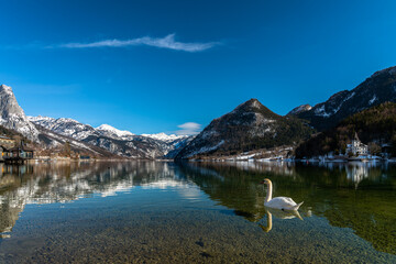 Stunning panorama view of Grundlsee lake with snow covered mountain peaks of Styrian Alps in background on a sunny winter day, Ausseerland - Salzkammergut region, Styria, Austria - 526276109