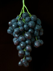 a bunch of ripe grapes lies in the kitchen