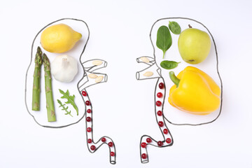 Flat lay composition with kidneys drawing and different products on white background