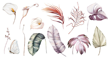 Watercolor set with flowers and butterflies, tropical leaves, palm leaves, calla blooms. High quality illustration - obrazy, fototapety, plakaty