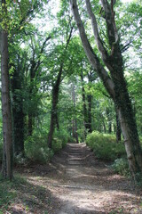 At the riverside park in Malchow | Travelling around Plau am See, Mecklenburg Lake District (
