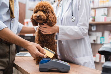 Cropped view of man paying with credit card near poodle and veterinarian in pet shop