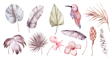 Watercolor set with flowers and birds, tropical leaves, palm leaves, hibiscus flowers, Hummingbird. High quality illustration