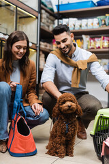Smiling multiethnic couple looking at poodle in pet shop