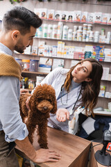 Veterinarian talking to arabian customer near poodle in pet shop