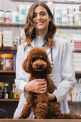 Smiling veterinarian looking at camera near poodle in pet shop