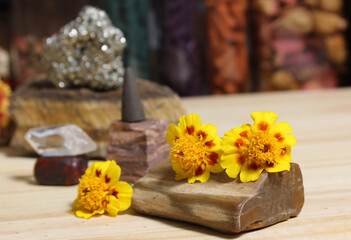 Obraz na płótnie Canvas Yellow Flowers on Petrified Wood With Rock Crystals and Incense Cone