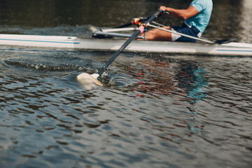 Sportsman single scull man rower rowing on boat. © primipil