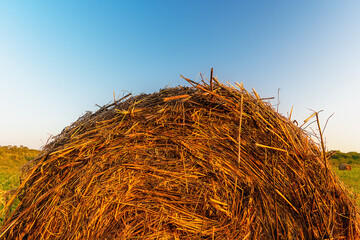 Haystack in a field during sunset