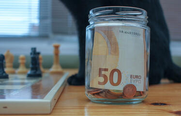 savings in euros, chessboard and cat