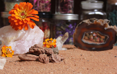 Chakra Stones on Australian Red Sand With Agatized Coral in Background