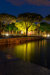 Fototapeta premium trees in the harbour at night