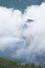 clouds over the forest