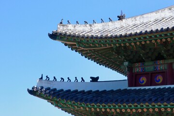 Fototapeta na wymiar old palace of seoul, korea