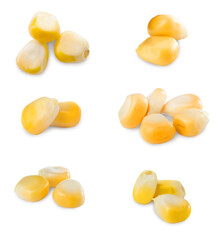 Set with tasty corn kernels on white background