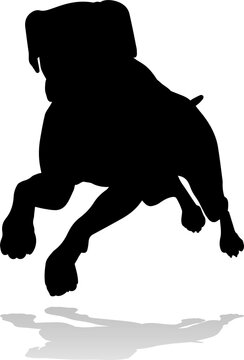 recommend clip art: Dog Silhouette Pet Animal