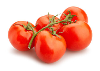 tomato path isolated on white