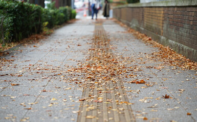people walking on the street