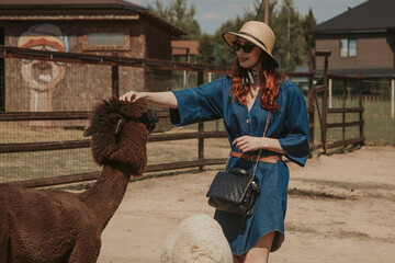 young woman in a hat feeding an alpaca on a farm