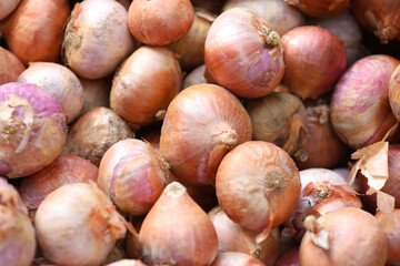 Red onions in indian market