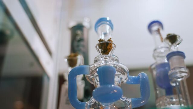 Closeup shot of three different in size and color bongs for smoking medical marijuana. Cannabis CBG CBD placed in each of them. Alternative medicine. High quality 4k footage