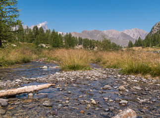 torrent de montagne