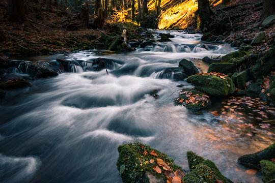 Water flowing in the Kytserov riverbed through the rocks creates small cascades around the banks, which are covered with colourful autumn leaves. Autumn is coming. Stare hamry, Czech republic, Europe