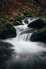 Cursed clear and icy water rushes through rocks and autumn leaves down the slope in the Beskydy Mountains protected area after the rain. Eastern Czech Republic, Central Europe