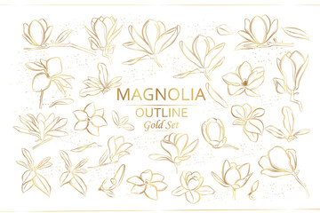 Magnolia flowers set. Vector flowers. Line art style. Golden branches of magnolias.