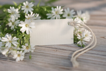 Fototapeta na wymiar White flowers and blank white card for text. Mockup tag. Postcard